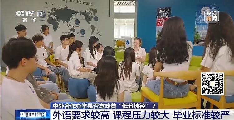 年轻人开始流行养砖头:有人已有打喷嚏等症状 医生紧急提醒